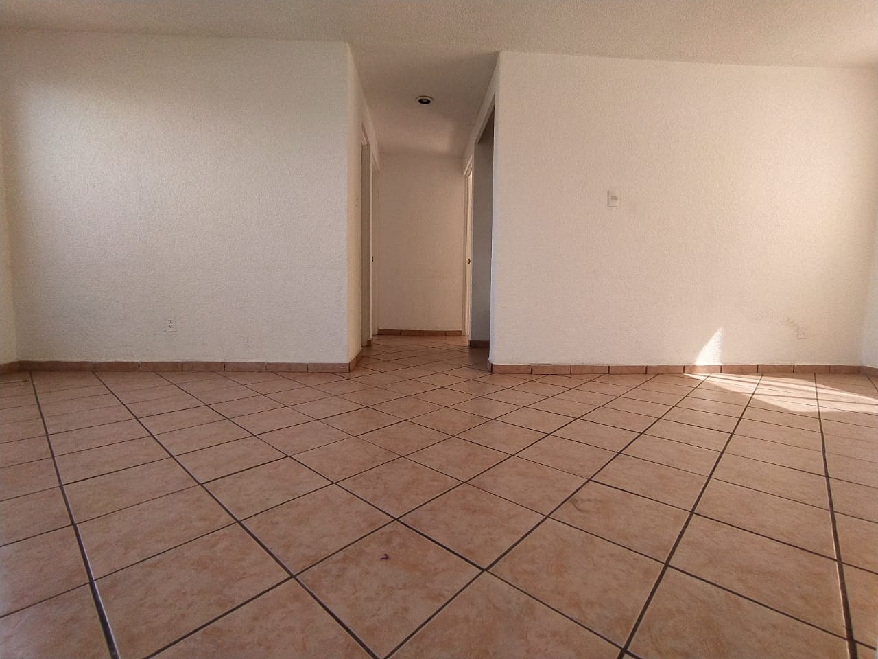 Distribución interior
